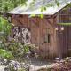 Luxury Cabin for Two with Beautiful River Views near Knoxville, Greeneville (photo 6)