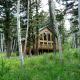 Rustic Family Cabin Nestled Among the Towering Trees in Idaho, Staley Springs - Fotografie 6