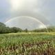 Amazing Romantic Yurt with Spectacular Landscape Views in Oregon, Philomath (fotografie 6)