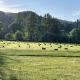 Amazing Romantic Yurt with Spectacular Landscape Views in Oregon, Philomath (fotografie 9)