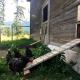 Spacious Rustic Cabin in the Mountains near Eureka, Montana, Tobacco (фото 9)