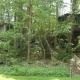 Tree Top Cabin in Crumpler, North Carolina, Crumpler