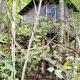 Tree Top Cabin in Crumpler, North Carolina, Crumpler (photo 4)