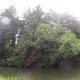 Secluded Lakefront Yurt with Private Beach near Portland, Oregon, Dunes City (fotografie 8)