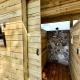 Cozy Yurt with Hot Tub Surrounded by Nature in Dripping Springs, Texas, Hammetts Crossing (zdjęcie 7)