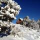 Spacious, Inviting Log Cabin Encircled by Wildlife in Utah