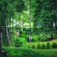Impressive Barn Suite with Hot-tub and Petting Zoo in Sugar Grove, North Carolina, Forest Grove (fotografie 10)