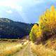 Rustic Cabin Rental with Views for Miles near Grand Teton National Park, Wyoming Thayne - Fotografie 6