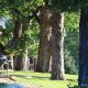 Gorgeous Cabin Surrounded by Trees and Incredible Views near Lanesboro, Minnesota, Whalan (fotografie 6)