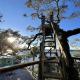 Luxury Treehouse on the San Sebastian River, Florida, Roseland - Fotografie 6