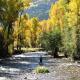 Rustic Cabin Rental on Conejos River in San Juan Wilderness, Colorado, Antonito - Fotografie 6