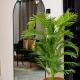 Ket Apartments 2 - Modern, Secure & Comfortable, Lusaka (foto 3)