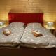 Holiday home in Rieden with swimming pool, Rieden (photo 3)
