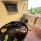 Villa Bella Lisa with Pool and Jacuzzi, Cavriglia (fotografie 8)