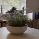 Mansfield Crescent, Wilton (fotografie 8)