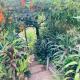 Shalom place, Bandarawela (Foto 3)
