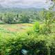 Shalom place, Bandarawela (Foto 7)