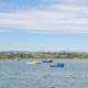 Coquet Cottage, Amble (fotografie 6)