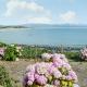 Morlais Criccieth - Fotografie 5