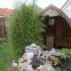 Holiday apartment with 2 bedrooms, Hohenfelde (foto 5)