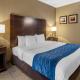 Comfort Inn & Suites Bryant - Benton, Bryant (foto 8)
