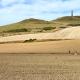 Cap Blanc-Nez - 6 personnes - animaux acceptés, Escalles (fotografie 7)