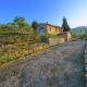 Villa in Mammi with Pool near Florence Castiglion Fiorentino - Fotografie 3