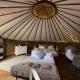 Chestnut - Yurt Slane - Fotografie 2