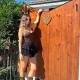 Niditas Suites & Horses, Santillana del Mar (foto 4)
