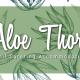 Aloe Thorn Self Catering