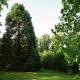 Wisteria Lodge - Stylish Countryside Lodge on 25-Acre Estate, Bekesbourne (fotografie 4)