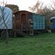 Ecogarden camping with rooms Zelarino - Fotografie 3