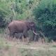 Ethili Lake view & Safari Camp, Wellawaya (foto 9)