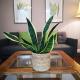 Lovely Garden Flat in Central Bath with Private Parking, Bath - Foto 7