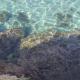 White Rock House, Fontane Bianche (fotografie 2)