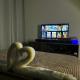 Cozy Midnights by The Celandine, Manila - Fotografie 10