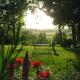 Folly Studio Bed and Breakfast, Bungay