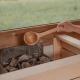 Mountain Residence Riesgut - Sound of Music - 6 Rooms for Family & Friends, Верфен (фото 7)