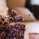Orias Guesthouse & Farm, Kalavrita (fotografie 7)