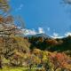 scène セヌ, Daisen (foto 10)