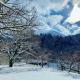 scène セヌ, Daisen (foto 9)