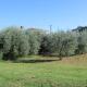 Villa Valentina, Ližnjan (Lisignano) (foto 5)