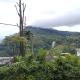 Royal homestay at Misty Mountain, Ella (fotografie 7)