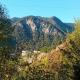 Borjomi forest, Bordjomi (photo 6)