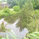 Holiday home in Kudensee with swimming pool, Kudensee (zdjęcie 4)