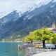 Holidays on Lake Brienz - Fotografie 4