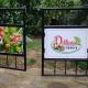 Dillenia Garden