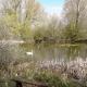 Herons Nest, Bourton-on-the-Water (Foto 10)