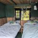the reedy cabin, Bexley (fotografie 3)