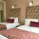 Maples House Hotel, Dublino - Foto 9
